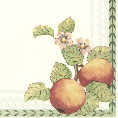 IHR NEW FRENCH GARDEN V&B velké ubrousky 33x33cm