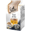 Sheba Mini Fresh & Fine kura a morka v šťave 6 x 50 g