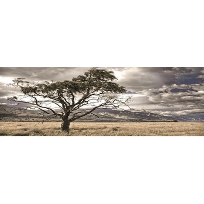 Obraz na plátne "Savana" 120 x 50 cm