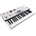 KORG king