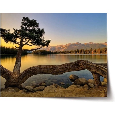 Sablio Plagát Strom pri jazere - 60x40 cm