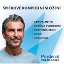 Prostenal CONTROL 60 tablet