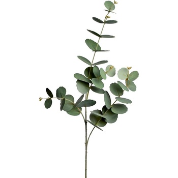 KS EUCALYPTUS 84CM