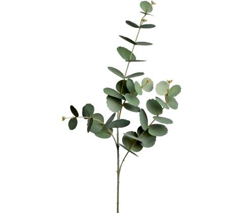 KS EUCALYPTUS 84CM