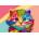 Yazz - Puzzle Cute Cat - 1 000 piese