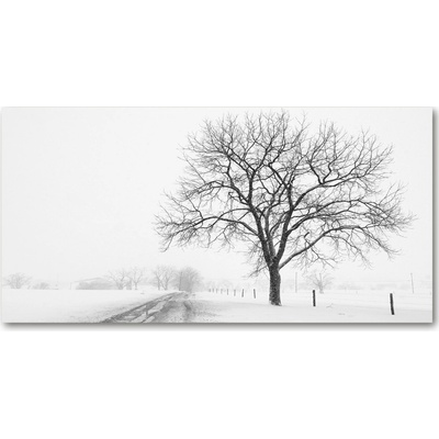 Foto obraz sklo tvrzené strom zima 100x50 cm