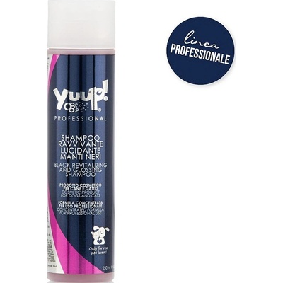 Yuup Professional Black Revitalizing & Glossing Shampoo 250 ml