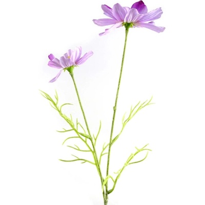 Florissima! Kytička krasuľka fialová 45 cm - Florissima