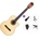 Pasadena PCC-10 Premium SET 4/4 Natural Класическа китара