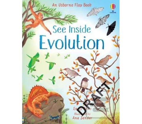 See Inside Evolution
