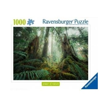 Ravensburger Puzzle 1000 Forests
