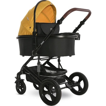 Image 1 of Lorelli Boston