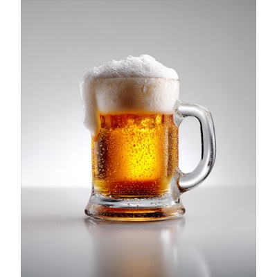 Takoy Počesaná teplákovina Takoy PANEL 360g orosené pivo