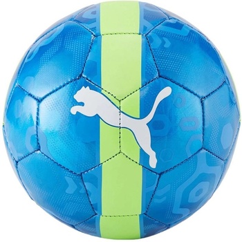 Puma CUP