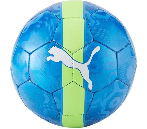 Puma CUP