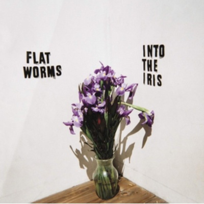 Into the Iris - Flat Worms LP