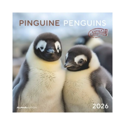 Pinguine Broschüren 30x30 cm (30x60 geöffnet) mit Platz für Notizen Penguins Bild Wandplaner Wand 2026