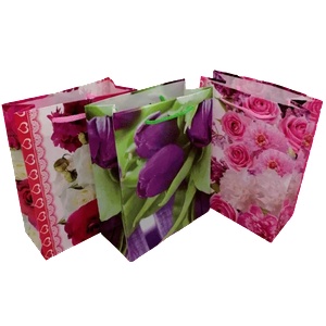 Cangnan Color Bag Co. , Ltd Подаръчни торбички 17 х 13 см. М18-093