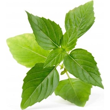 Veritable Вложка за семена Lingot необичайни билки тайландски босилек (lingot-bazylia-tajska)