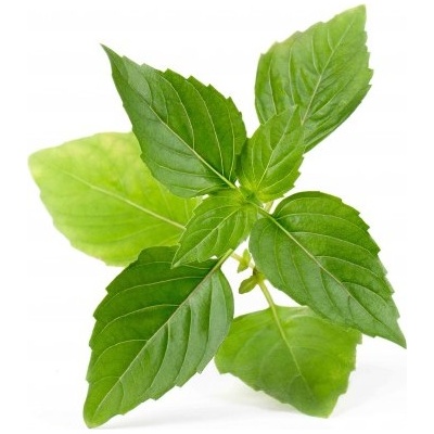 Veritable Вложка за семена Lingot необичайни билки тайландски босилек (lingot-bazylia-tajska)