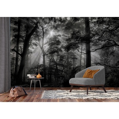 AG design FTNXXL-3027 vliesová fototapeta Monochrome Forest rozměry 360 x 270 cm