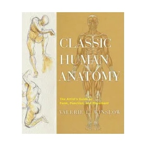 Classic Human Anatomy (ISBN: 9780823024155)
