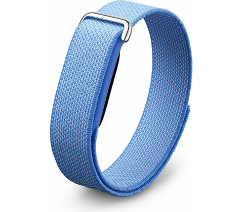 Google Fitbit Air