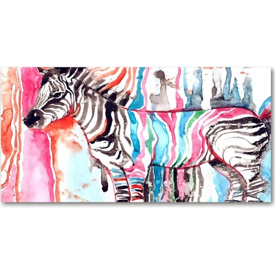 Fotoobraz na skle farebná zebra 100x50 cm