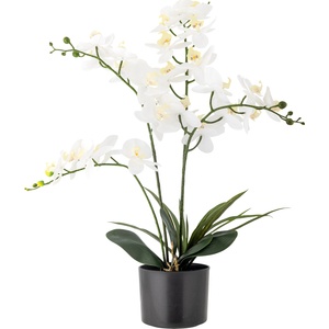 Bloomingville Изкуствено цвете в саксия Bloomingville орхидея L (82061501)