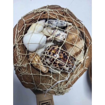 Dijk Natural Collection Mušle v kokosu varianta A