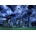 Bluebird Puzzle - Puzzle Stonehenge - 1 000 piese