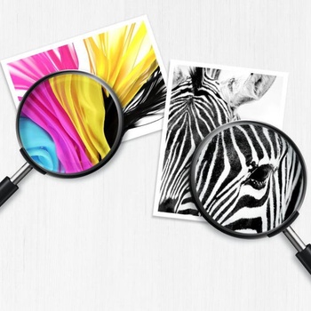 Image 1 of HP F6U14AE