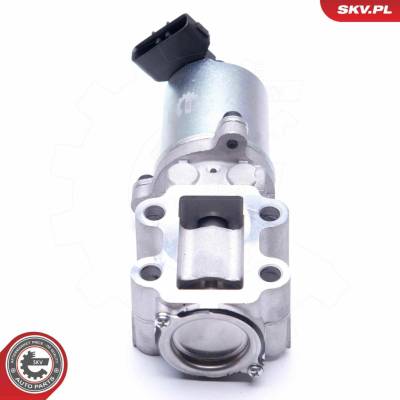 AGR - Ventil ESEN SKV 14SKV200
