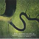 DEAD CAN DANCE - SERPENT'S EGG LP