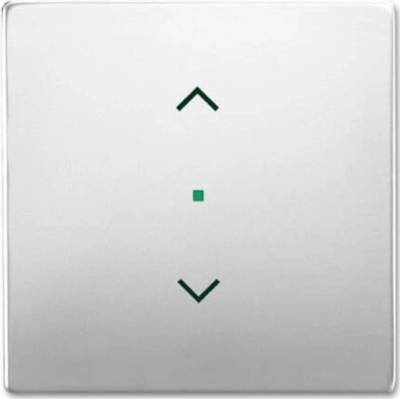 Busch-Jaeger 2CKA006220A0415