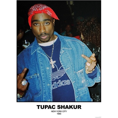 Plagát, Obraz - Tupac Shakur - N.Y.C 1993, 59.4 × 84.1 cm