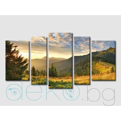 Планина (45012)