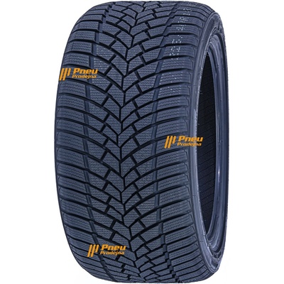 RoadX Frost Tempo 225/60 R17 99H