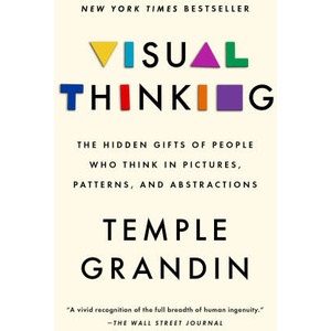 VISUAL THINKING (2023)