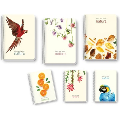 Тетрадка BW Nature B5 100 л. PP к. сп. редове (B5 100)