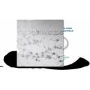 Young Gods Appear Disapper CD
