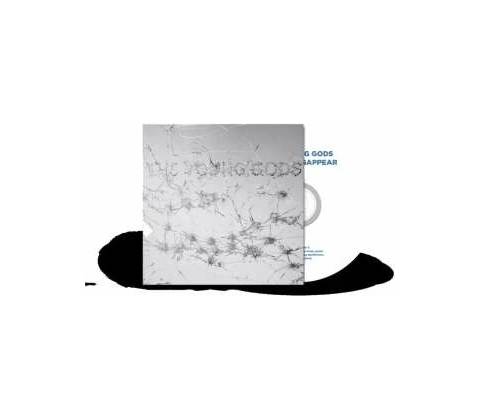 Young Gods Appear Disapper CD