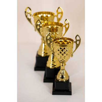 TROFEJE.sk Pohár 168 A