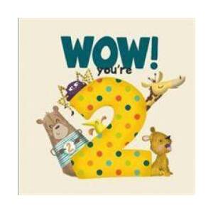 WOW! You're Two birthday book | Lucy Tapper (ISBN: 9781907860492)
