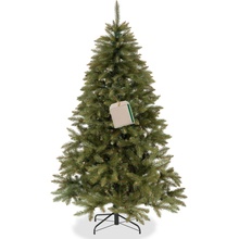 Springos CT0197 JEDĽA KAVKAZSKÁ 200 CM