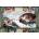 Ravensburger - Puzzle Michelangelo: The Birth of Adam - 5 000 piese
