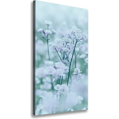 Vertikálny foto obraz na plátne do obývačky Jarmanka 50x100 cm