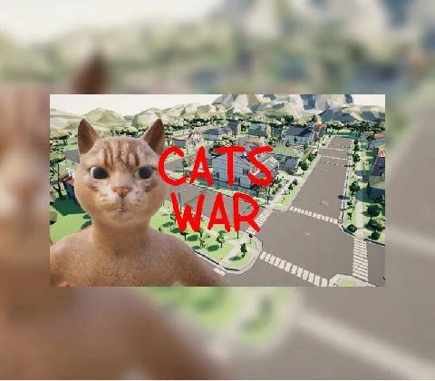 Cats War