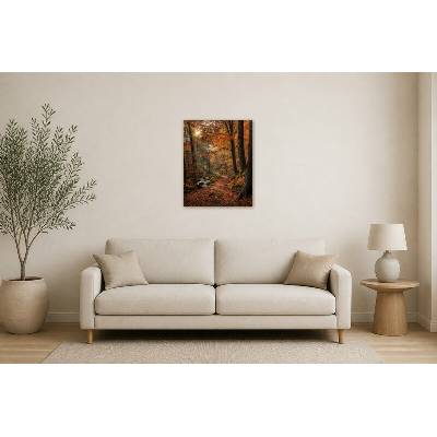 Obraz na plátně – Podzimní lesní cesta u potoka 60 × 75 cm – Hledejceny.cz