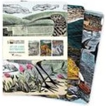 Flame Tree Publishing Angela Harding Set of 3 Midi Notebooks - Wildlife | Flame Tree Publishing